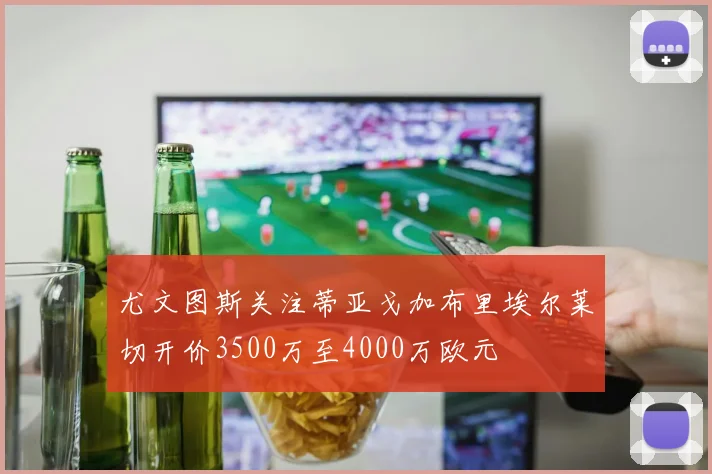 尤文图斯关注蒂亚戈加布里埃尔莱切开价3500万至4000万欧元