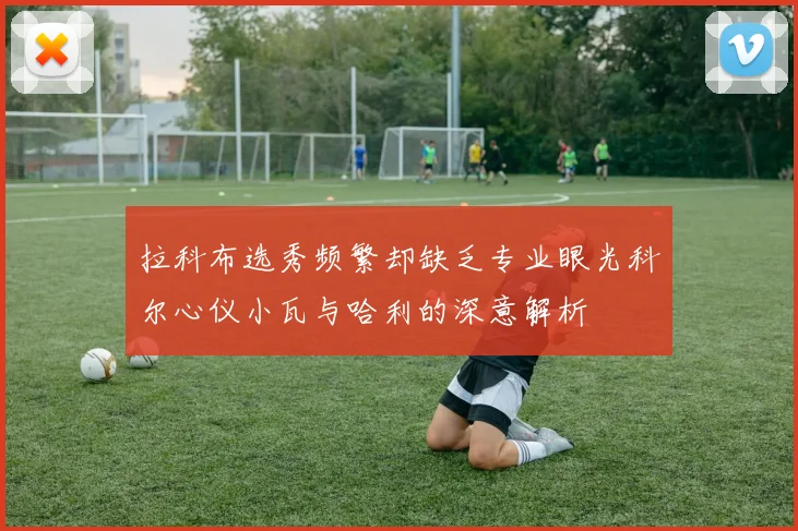 拉科布选秀频繁却缺乏专业眼光科尔心仪小瓦与哈利的深意解析